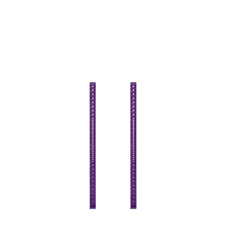 Two purple Hydra Vertical Uprights from Bells of Steel, evenly spaced against a white backdrop. Each features uniformly placed holes throughout its length to fit various attachments, resembling a typical rack design.