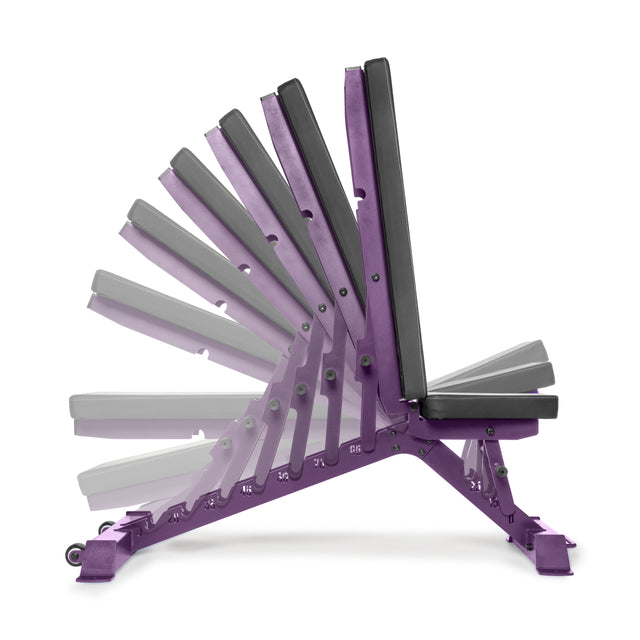 The Buzz-Saw Heavy-Duty Adjustable Bench by Bells of Steel is shown in various positions, from flat to upright, highlighting its versatility and stability for diverse exercises. Its purple color stands out against a plain white backdrop, accentuating its robust features.