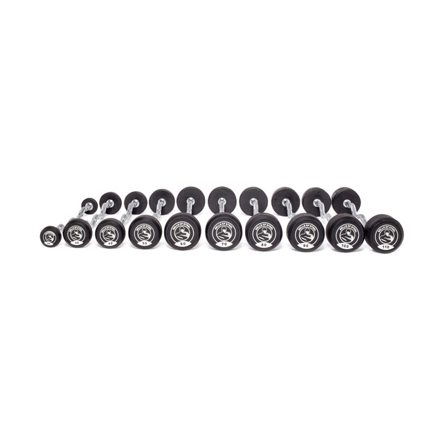 A set of twelve Fixed Barbells - Easy Curl by Bells of Steel, ideal for home gyms, arranged from lightest to heaviest with black plates and silver handles on a white background.