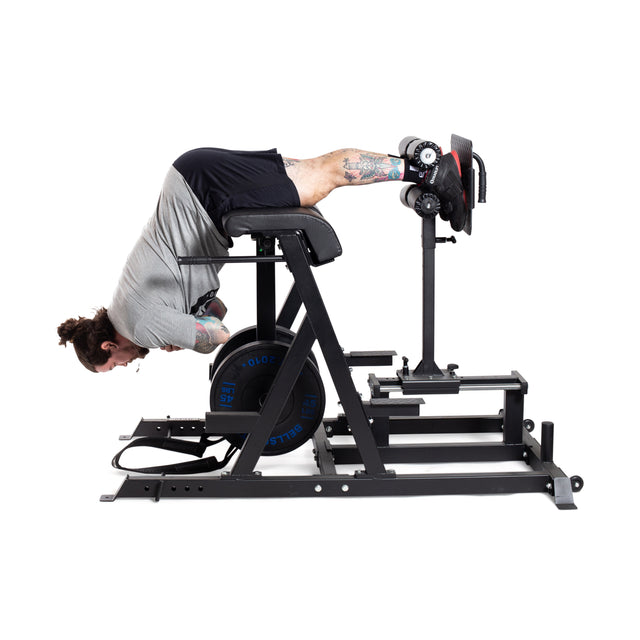 Using the Bells of Steel Reverse Hammer 2 In 1 GHD And Reverse Back Extension, a person in a gray shirt and black shorts performs reverse back extensions for posterior chain strengthening, lying face down with arms on handles, tattoos visible on their legs.