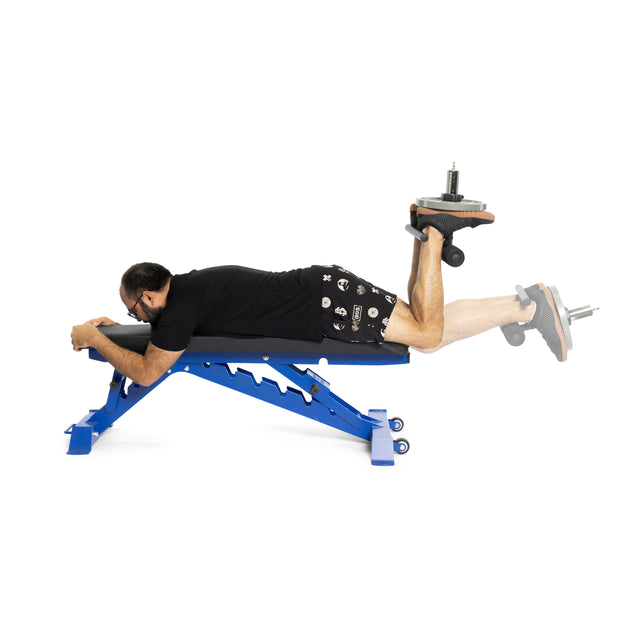 A man in workout gear lies face down on a blue weight bench, performing hamstring curls with the Bells of Steel Tibialis Trainer Bar to help prevent knee injuries.