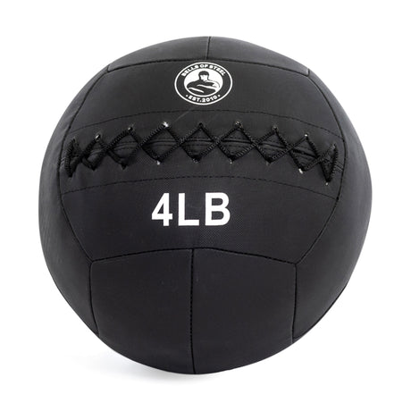 The "Triple Stitched Medicine Balls" by Bells of Steel is a black medicine ball featuring visible stitching, a logo at the top, and "4 LB" in bold white text to indicate its weight. Durable and ideal for all fitness levels, it makes an excellent workout companion.