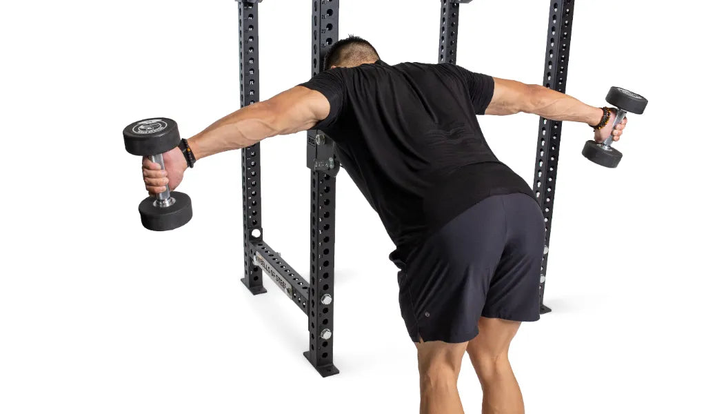 Are Seal Rows Better Than Dumbbell Rows