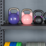 A Bells of Steel USA Storage Shelf holds purple, pink, and black kettlebells beside colorful weight plates on a lower shelf, all set against a gray gym wall.