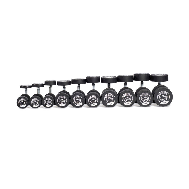 A row of Bells of Steel urethane dumbbells showcases commercial-grade quality, arranged from smallest to largest. Each black dumbbell features white weight markings against a pristine white background.