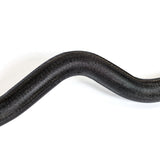A close-up of a black snake with shiny scales curving in an S-shape on white, resembling the arm’s form when doing bicep curls with the Bells of Steel EZ Curl Bar (54.5").