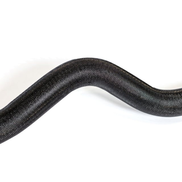 A close-up of a black snake with shiny scales curving in an S-shape on white, resembling the arm’s form when doing bicep curls with the Bells of Steel EZ Curl Bar (54.5").