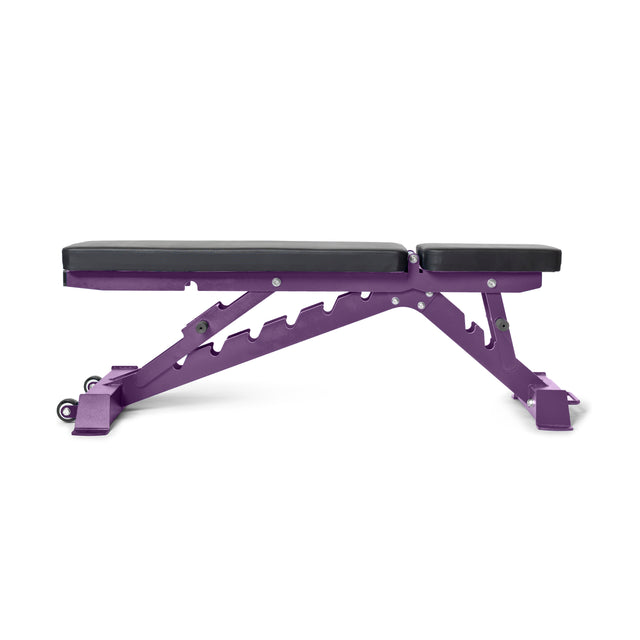 The Buzz-Saw Heavy-Duty Adjustable Bench by Bells of Steel is perfect for gym workouts, featuring a purple design with black cushion seats, adjustable back pad in a flat position, sturdy metal frame with visible adjustment slots.