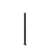 The Bells of Steel Hydra Vertical Uprights is a single black metal upright with multiple holes, standing vertically on a flat base. Isolated on a white background, it's ideal for 3x3 rack attachments.
