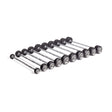 Neatly aligned rows of Bells of Steel Fixed Barbells - Straight Handle, featuring black weight plates and silver bars against a white background, showcase various weight increments perfect for barbell exercises.