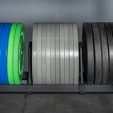 A row of weight plates in green, blue, gray, and black sits vertically on a shelf organized with the Divider for Bumper Plate Shelf (Pack of 3) by Bells of Steel USA, against a gray gym wall.