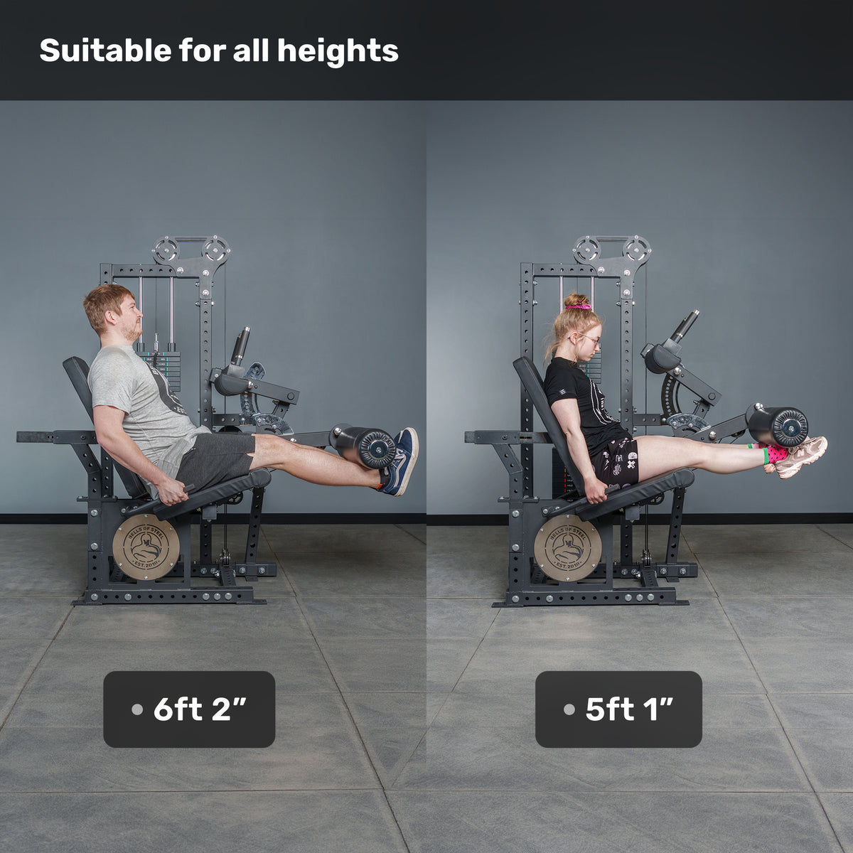 Stack Loaded Leg Machines Basilisk Leg Extension & Curl Machine | 210–310 LB Stack - Bells of ...